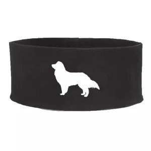 Pannband med Miniature American Shepherd