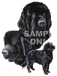 Tygkasse med Newfoundland