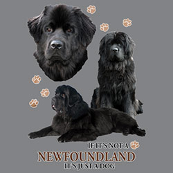 Figursydd T-shirt med Newfoundland