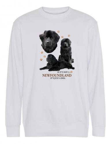 Collegetröja med Newfoundland