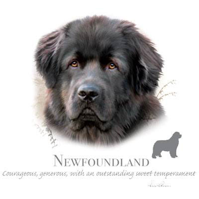 T-shirt med Newfoundland