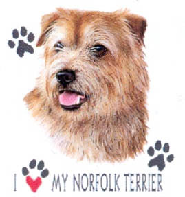 T-shirt med Norfolkterrier