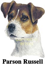 T-shirt med Parson Russell Terrier