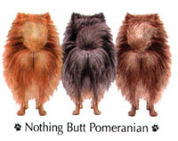 T-shirt med Pomeranian (Dvärgspets)