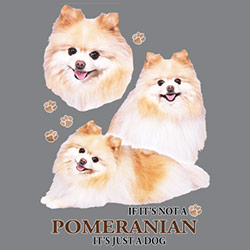 Figursydd t-shirt med Pomeranian
