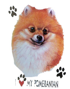T-shirt med Pomeranian (Dvärgspets)