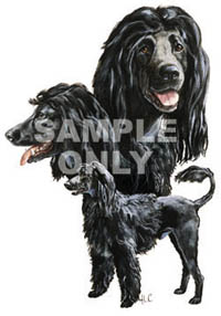 Tygkasse med Portugisisk Vattenhund