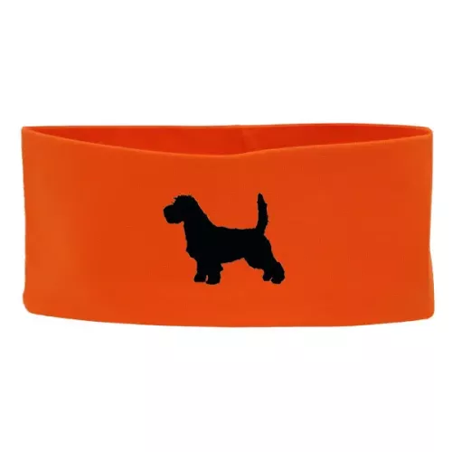 Pannband med Petit Basset Griffon Vendeen