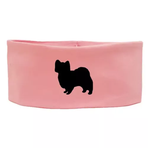 Pannband med Papillon