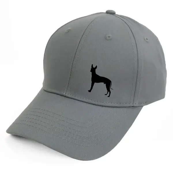 Keps med en Perro sin Pelo del Peru