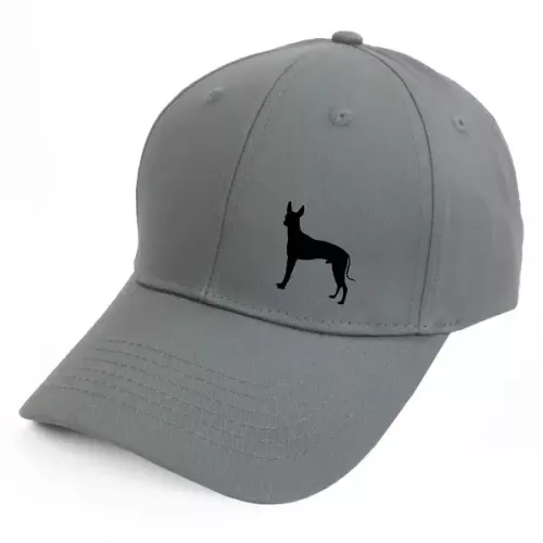 Keps med en Perro sin Pelo del Peru