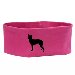 Pannband med Podengo Portugues