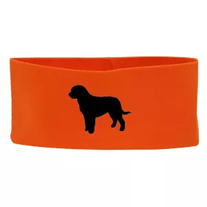 Pannband med Perro de Agua Espanol