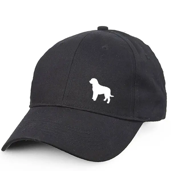 Keps med en Perro de Agua Espanol