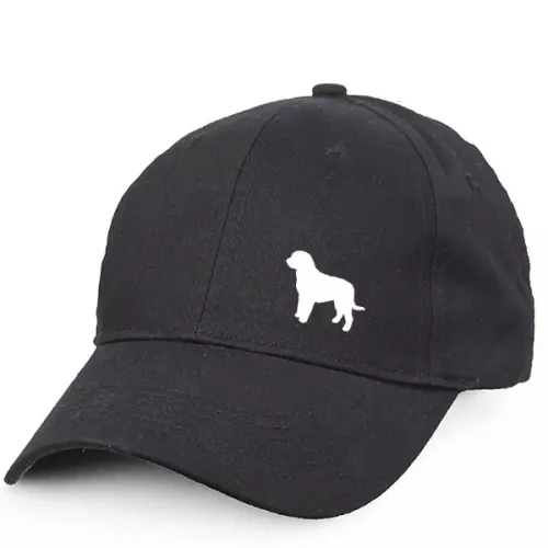 Keps med en Perro de Agua Espanol