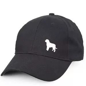 Keps med en Perro de Agua Espanol