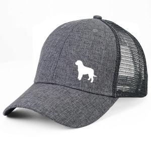 Gråmelerad Keps med Perro de Agua Espanol