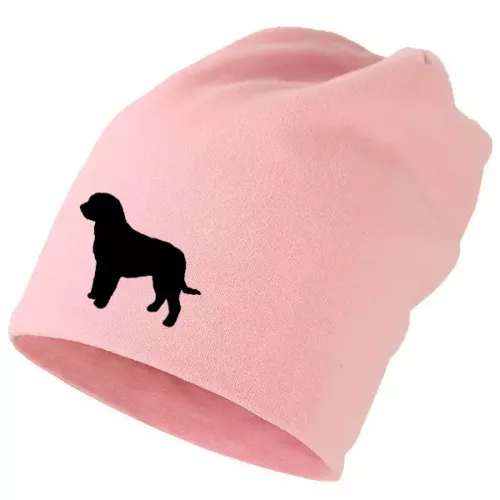 Mössa med Perro de Agua Espanol