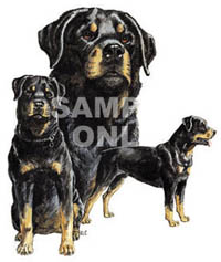 T-shirt med Rottweiler