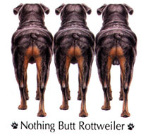 T-shirt med Rottweiler
