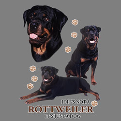 Figursydd t-shirt med Rottweiler
