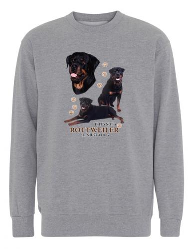 Collegetröja med Rottweiler