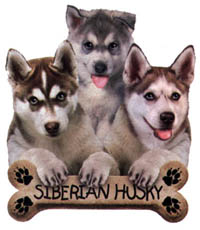 T-shirt i barnstorlek med Siberian Husky