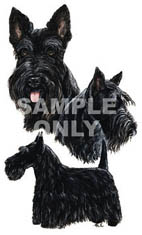 T-shirt i barnstorlek med Skotsk Terrier