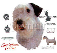 T-shirt med Sealyhamterrier