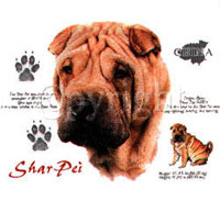 T-shirt med Shar Pei