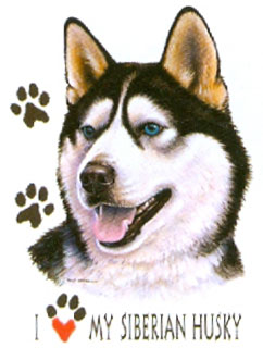 Collegetröja med Siberian Husky