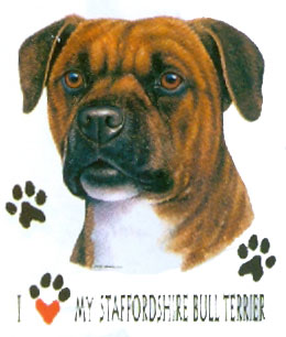 Collegetröja med Staffordshire Bullterrier