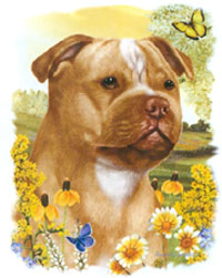 Collegetröja med Staffordshire Bullterrier