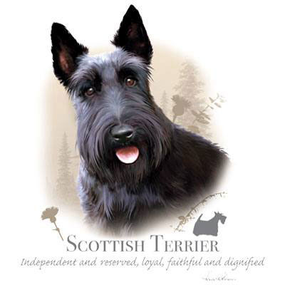 Collegetröja med Skotsk Terrier