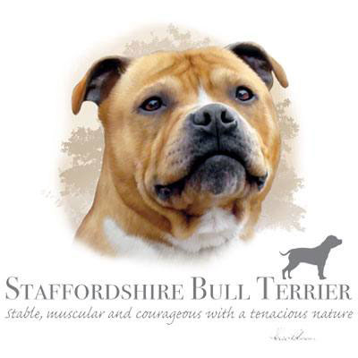 T-shirt med Staffordshire Bullterrier