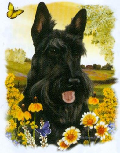 Tygkasse med Skotsk Terrier