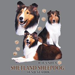 Figursydd t-shirt med Shetland Sheepdog