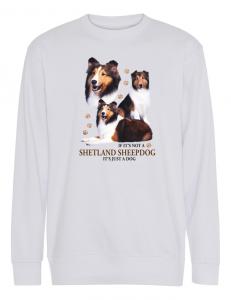 Collegetröja med Shetland Sheepdog