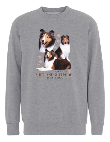 Collegetröja med Shetland Sheepdog