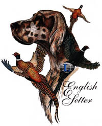 Collegetröja med Engelsk Setter