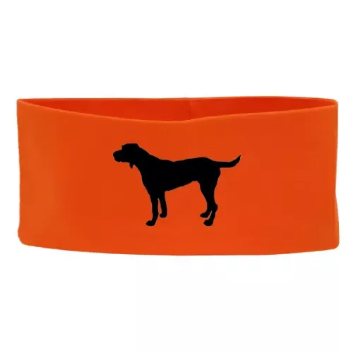 Pannband med Strävhårig Vorsteh