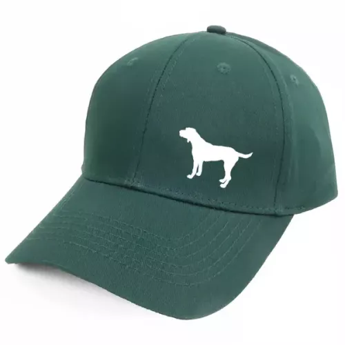 Keps med en Strävhårig Vorsteh