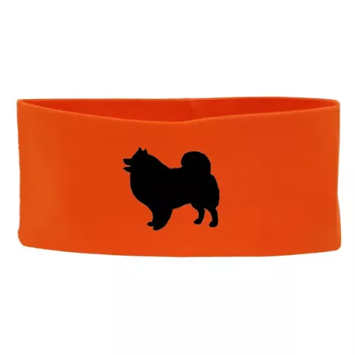 Pannband med Svensk Lapphund