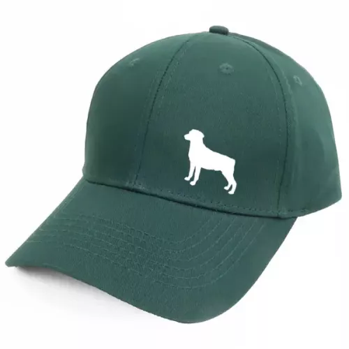 Keps med en Smålandsstövare