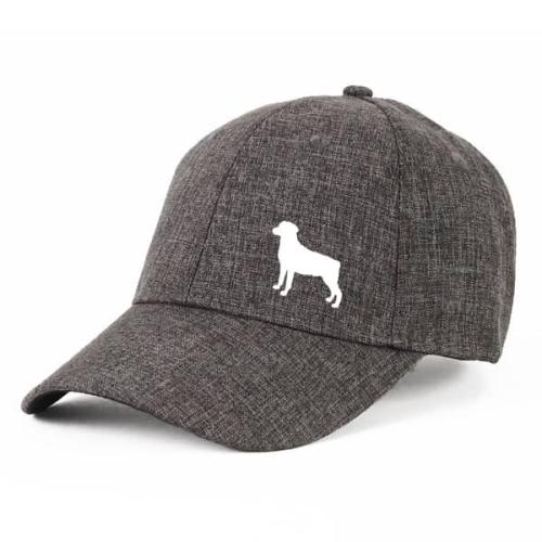 Keps med Smålandsstövare