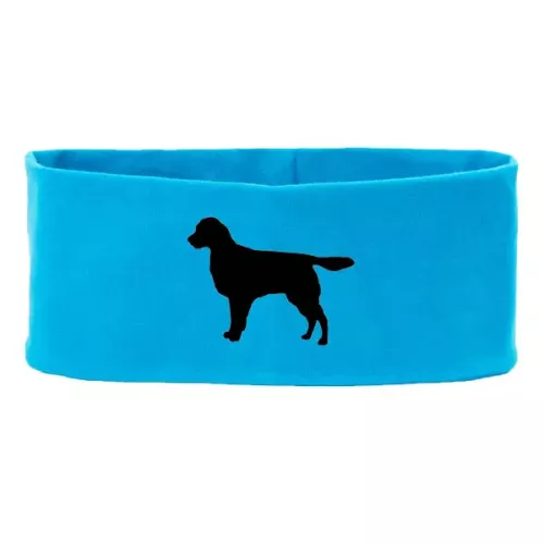 Pannband med Stabijhoun