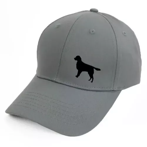 Keps med en Stabijhoun