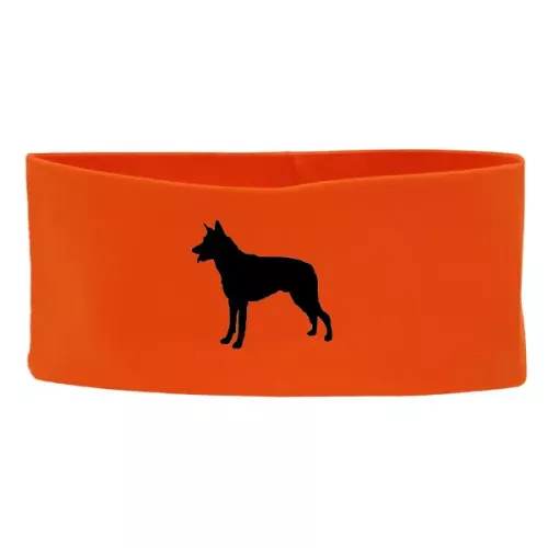 Pannband med Saarloos Wolfhond