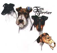 Collegetröja med Foxterrier