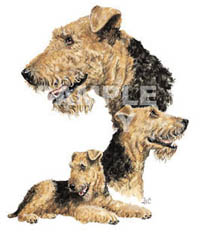 T-shirt med Airdaleterrier